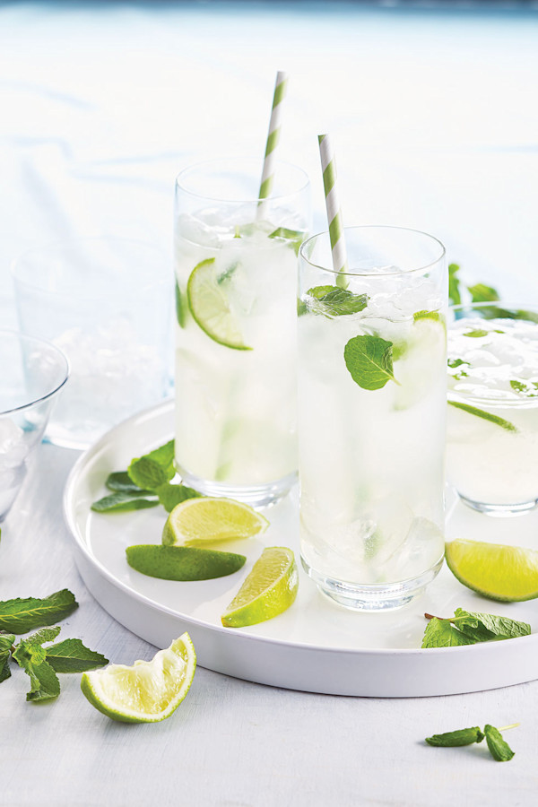 Classic-Mojito-New Lead